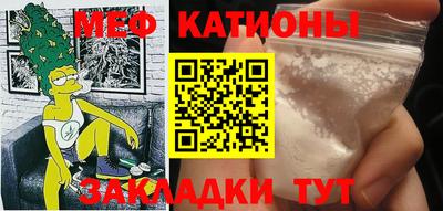 индика Тара