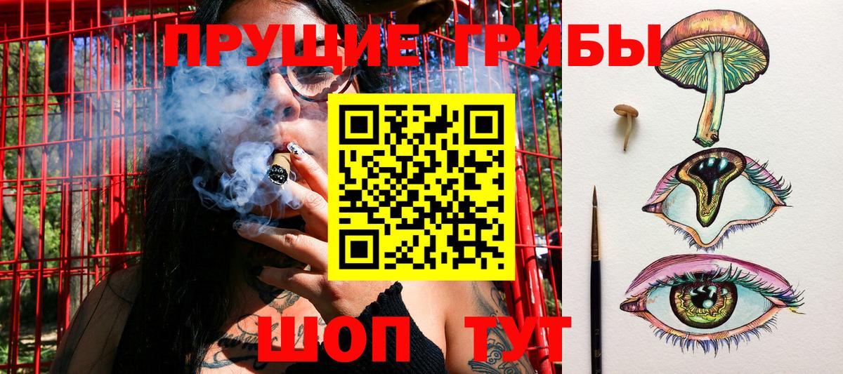 Галлюциногенные грибы GOLDEN TEACHER Асбест